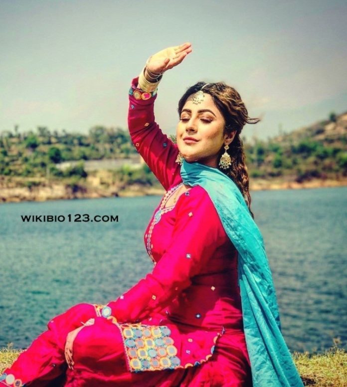 Shehnaaz Kaur Gill Wiki Bio Age Figure Size Height Hobbies Friends HD 
