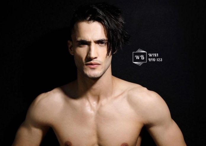 Asim Riaz wiki Bio Age Body Fitness Height Affair HD Image Wallpaper