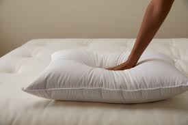 Down Alternative Pillows