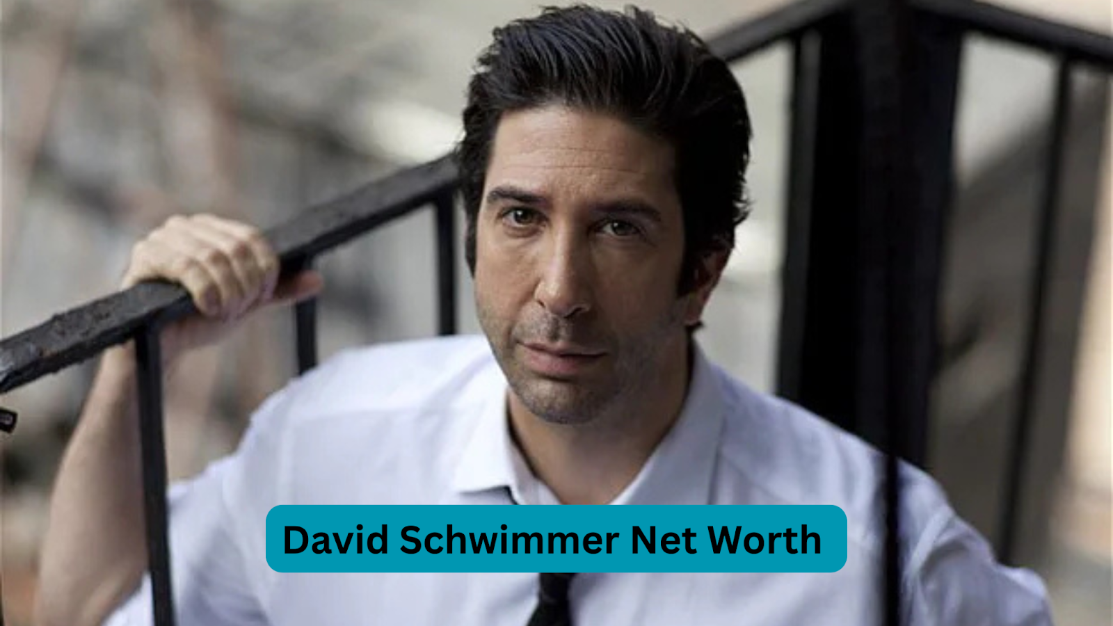 David Schwimmer Net Worth: Friends Royalties & Beyond