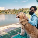 Traveling Pets Overseas